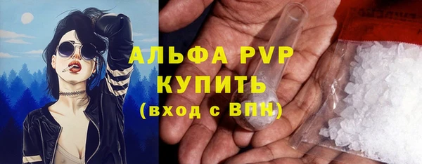 ПСИЛОЦИБИНОВЫЕ ГРИБЫ Белоозёрский