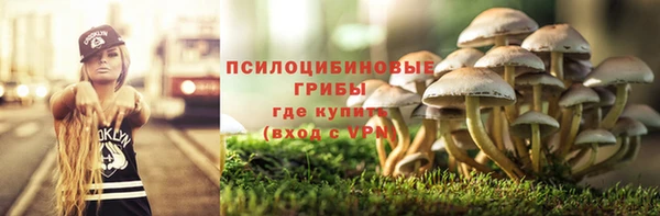 метадон Беломорск