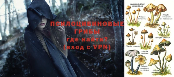 метадон Беломорск