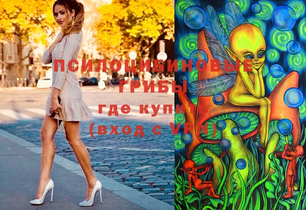 ПСИЛОЦИБИНОВЫЕ ГРИБЫ Белоозёрский
