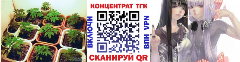 ТГК жижа  Купить закладки  Учалы 